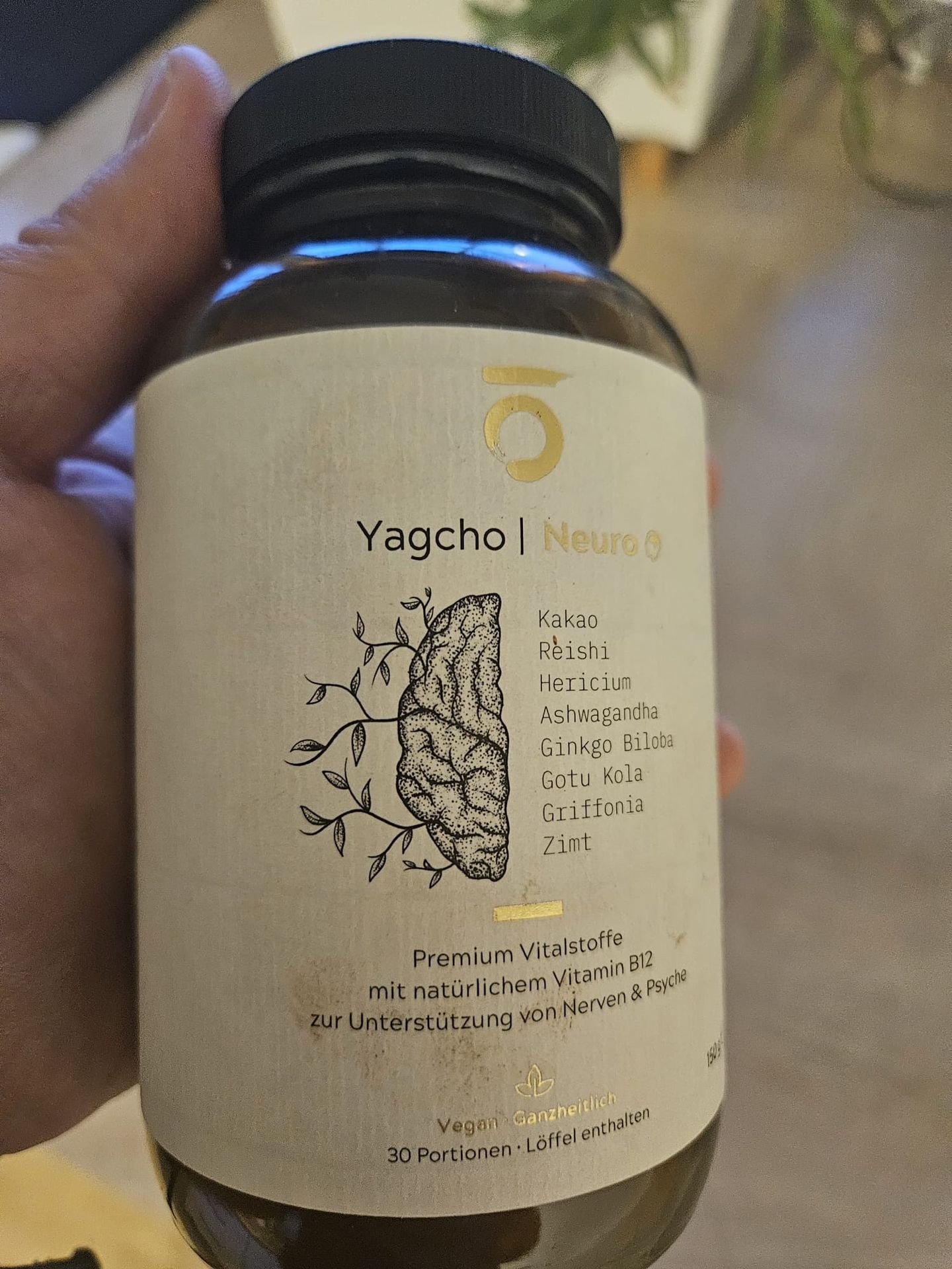 Yagcho adaptogenes Pilzgetränk